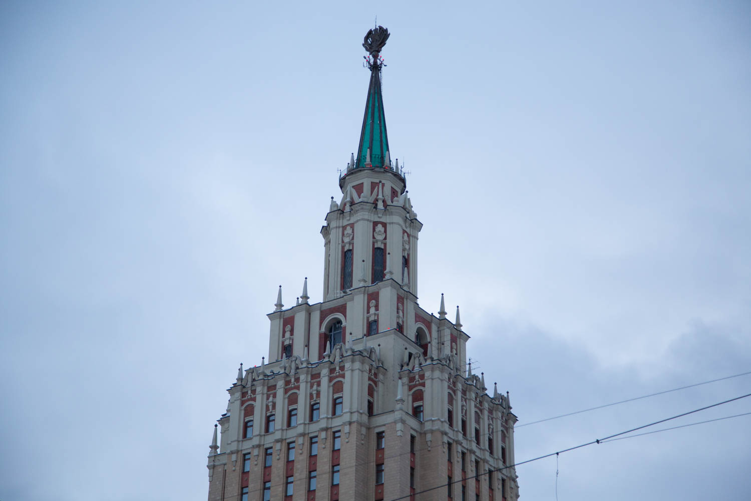 Жители Казани спасли выпавших из гнезда птенцов краснокнижной пустельги