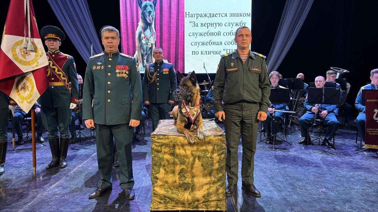 В Росгвардии наградили знаками отличия  служебных собак